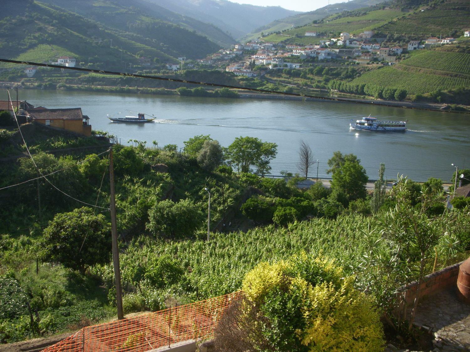 Quinta Da Azenha Hotel Folgosa  Exterior foto