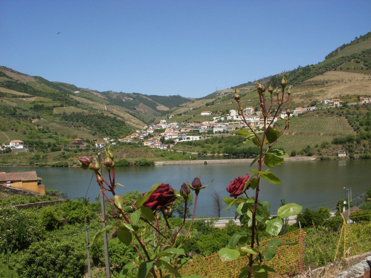 Quinta Da Azenha Hotel Folgosa  Exterior foto